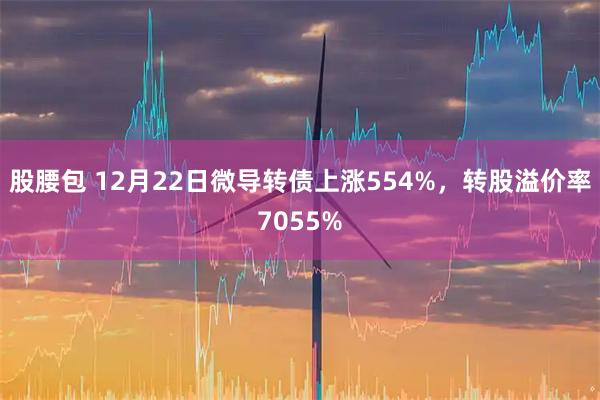 股腰包 12月22日微导转债上涨554%，转股溢价率7055%